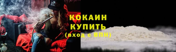 PSILOCYBIN Богданович