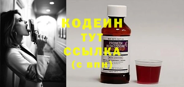 PSILOCYBIN Богданович