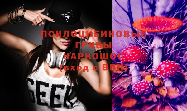 ГАЛЛЮЦИНОГЕННЫЕ ГРИБЫ Богородицк