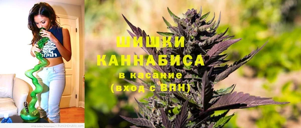 mix Богородск